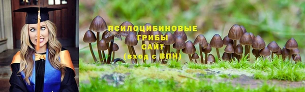 ECSTASY Нефтекумск