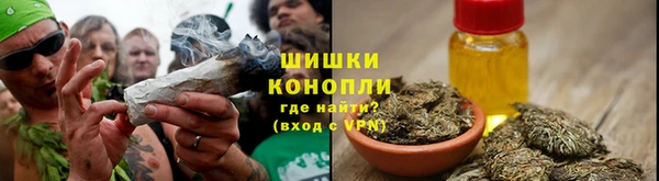 ешки Бердск