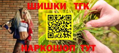 мет Кингисепп