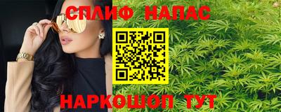мет Кингисепп