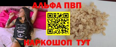 мет Кингисепп