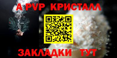 мет Кингисепп
