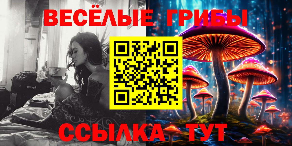 Псилоцибиновые грибы Psilocybine cubensis  Вход с VPN  Кузнецк  купить наркоту  Галлюциногенные грибы мицелий 