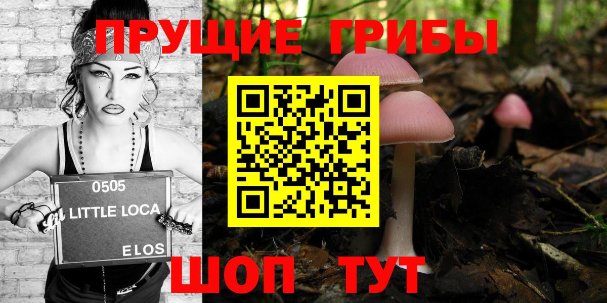 Псилоцибиновые грибы Psilocybine cubensis Кузнецк