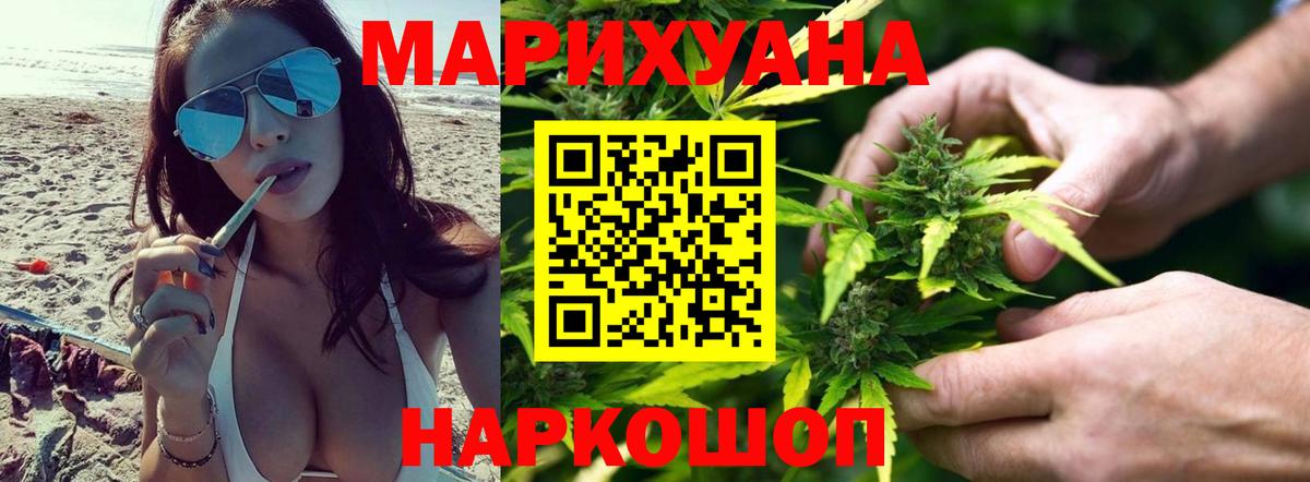Бошки Шишки планчик Кузнецк
